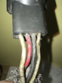 O2Harness4Wires.webp