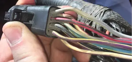 Black1987EngineHarness2.webp