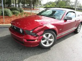 Stang_7005.webp