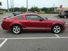 Stang_7006.webp
