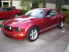 Stang_7067.webp