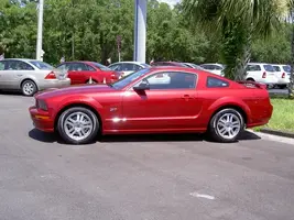 Stang_7070.webp
