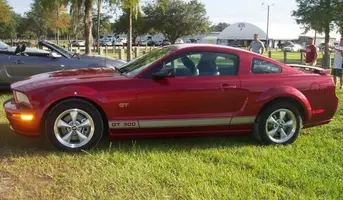 Stang_7071.webp