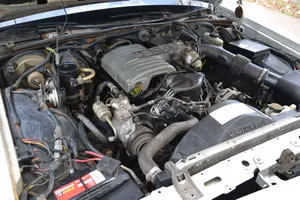 DSC_0152.webp