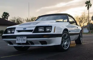 FEF (1 of 1).webp