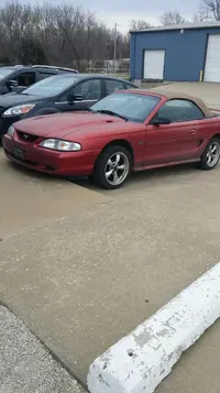 MUSTANG.webp