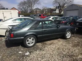 New tires.webp