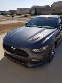 received_10208414838517584.webp
