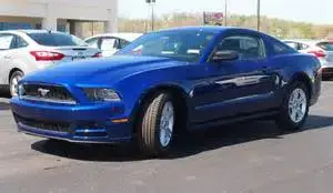 thUJ03A1FD.webp thUJ03A1FD.webp