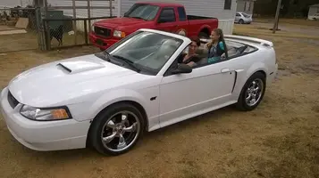 mustang.webp