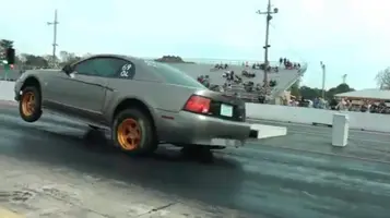 stubby 093.webp