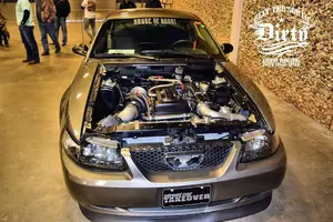 stubby 155.webp