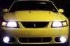 216697_1027908948346_6063_n.webp