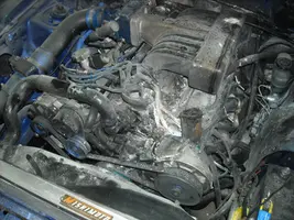DSCN0560.webp