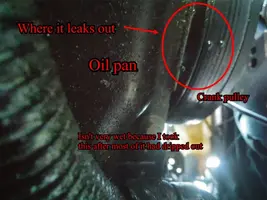crank leak.webp