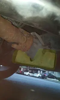 nicks rear end.webp