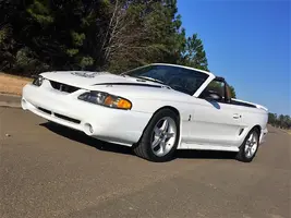 cobra2.adj.webp