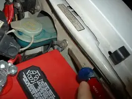 ground.webp