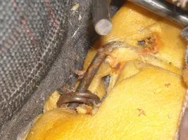 DSCN0036a.webp