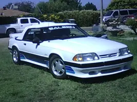 saleen3.webp