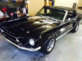Mustang Photo2.webp