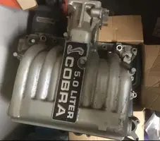 cobra real.webp