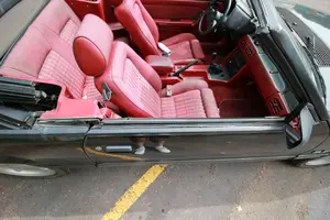 Mustang_PassengerDoor.webp