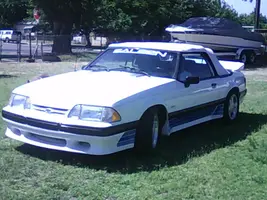 saleen1.webp