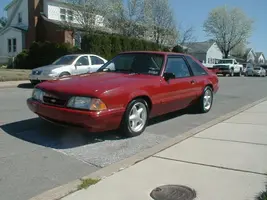 New Mustang 004.webp