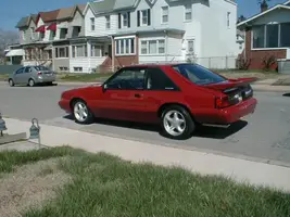New Mustang 006.webp