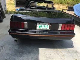 mustang 8-28-2.webp