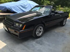 mustang 8-28-3.webp