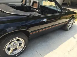 mustang 8-28-4.webp