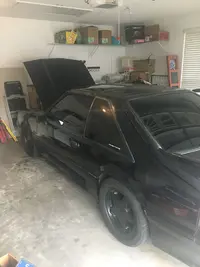 mustang.webp