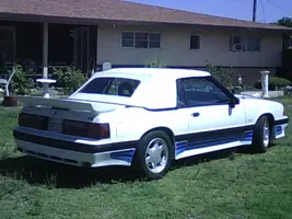 saleen5.webp