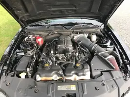 hood open.webp