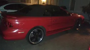 mustang1pic.webp
