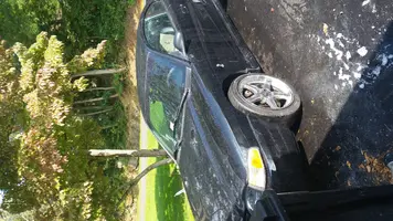 97Cobra1.webp
