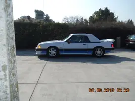 DSCN0738.webp