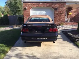 cobra 2 IMG_0050.webp
