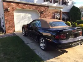 cobra 3IMG_0051.webp