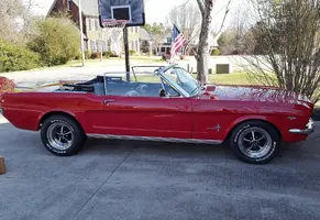 Mustang - Copy (2).webp