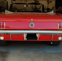 mustang back.webp