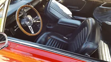 Mustang3.webp