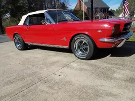 Mustang4 - Copy (2).webp