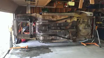mustang on side.webp