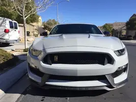 Shelby3.webp