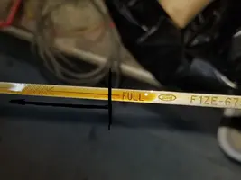 DIPSTICK.webp