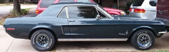 Styled Steels (Small, Black Caps).webp