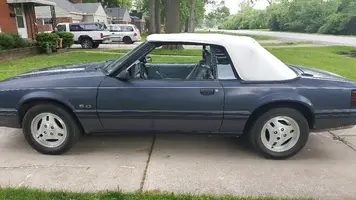 stang_1.webp